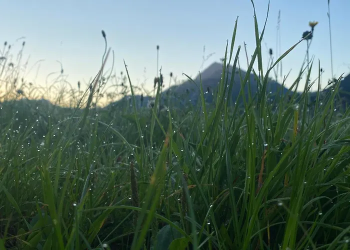 Lodge-b Weissenbach am Lech