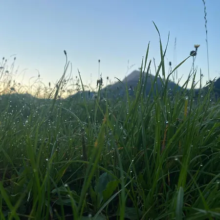 Lodge-b Weißenbach am Lech